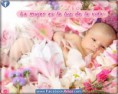 /album/fotogaleria/images-24-jpg/